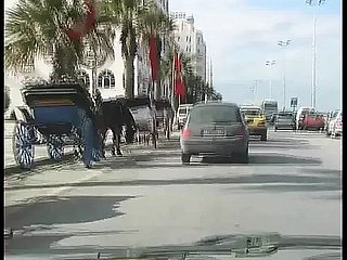 Liberi all over Tunisie